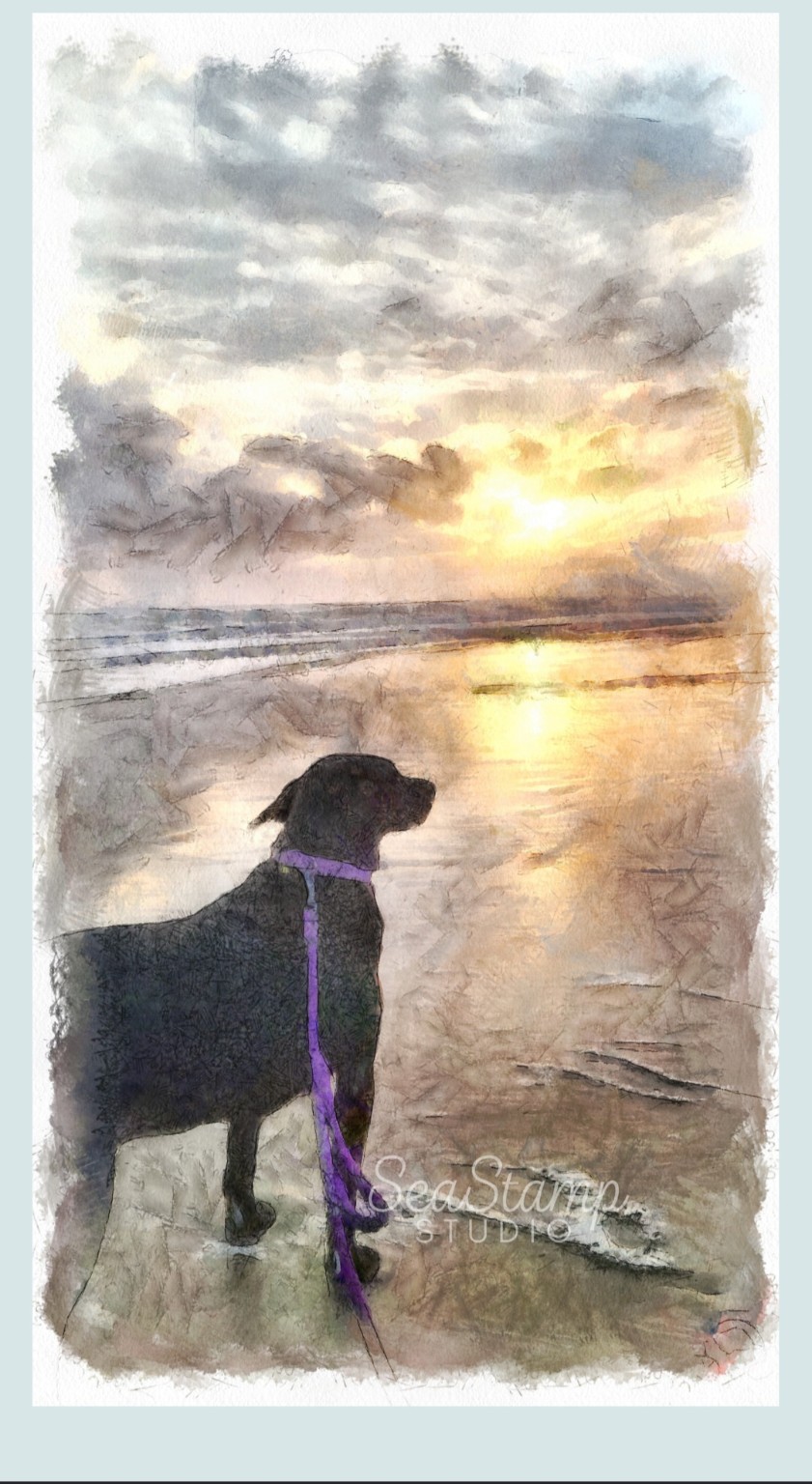 Watercolor-style artwork of Jasmine, a black dog on a purple leash, watching a glowing coastal sunset.